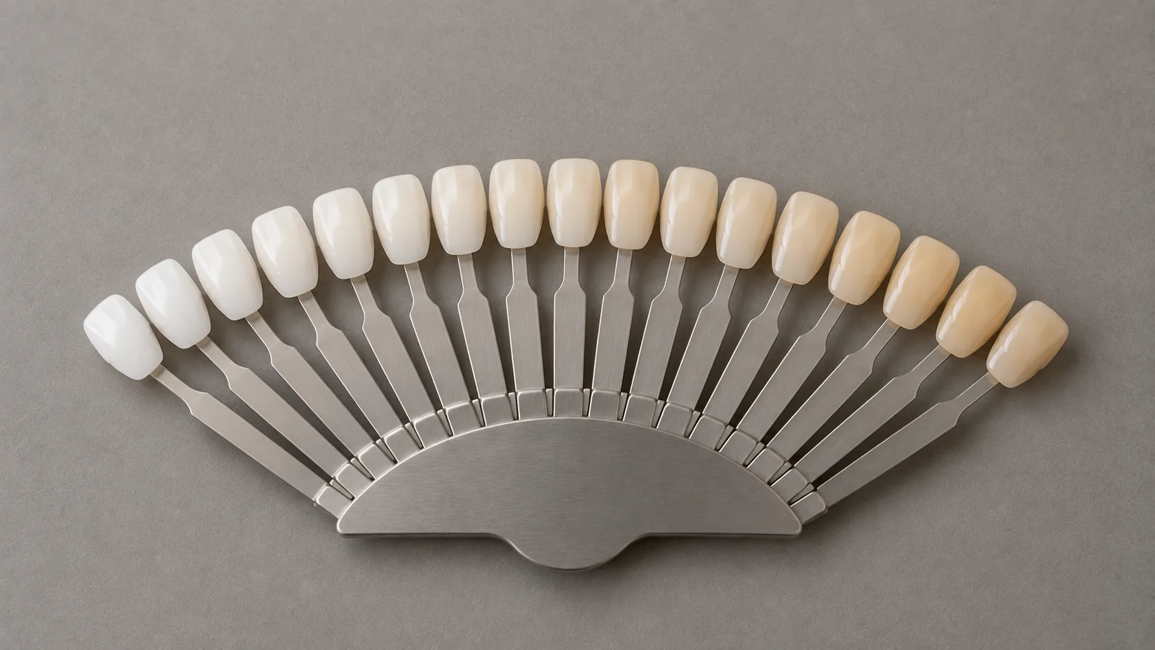 A dental shade guide fanned out in a wide arc, sixteen tabs running from bright white to warm ivory
