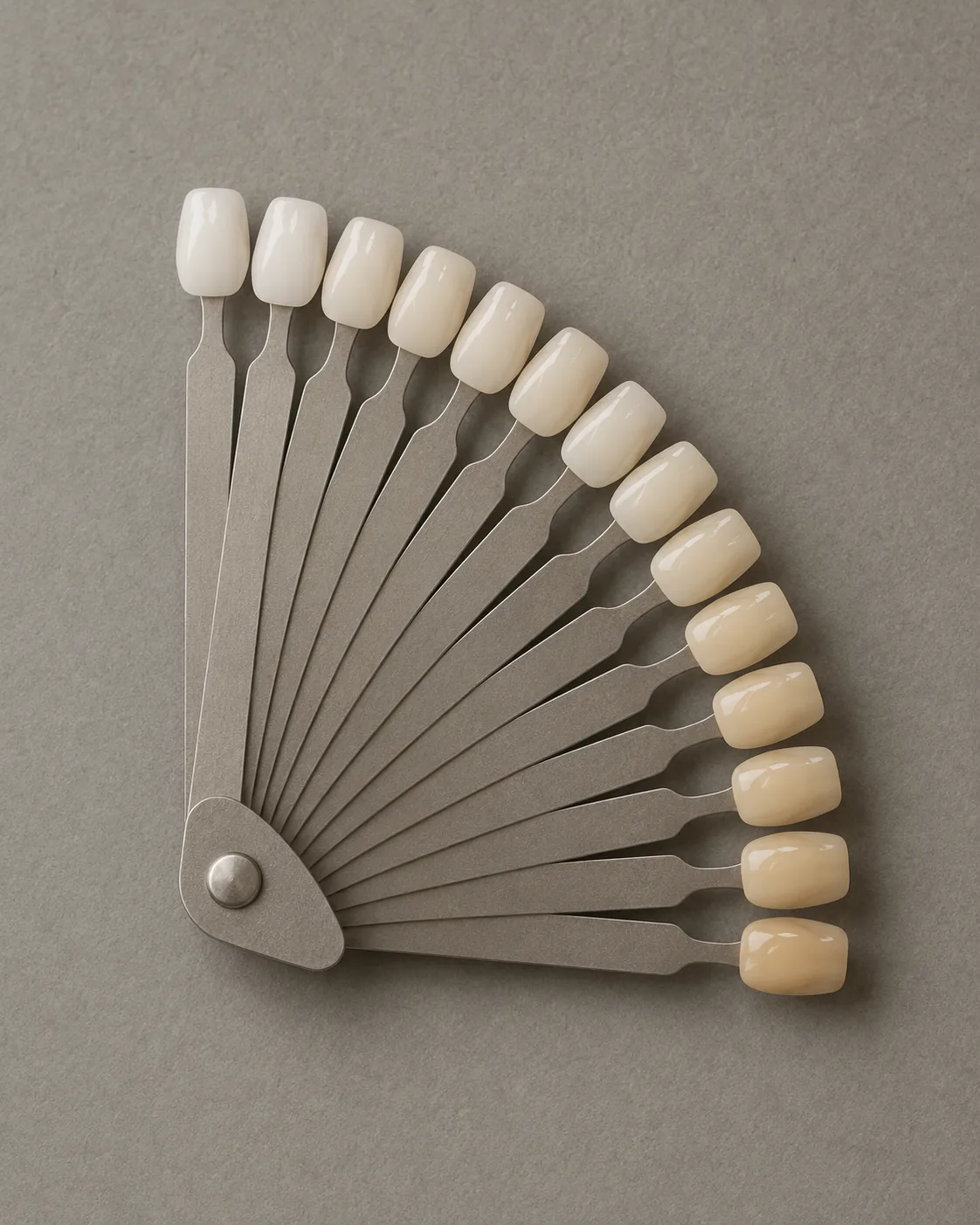 A dental shade guide fanned open, sixteen porcelain tabs running from bright white to warm ivory