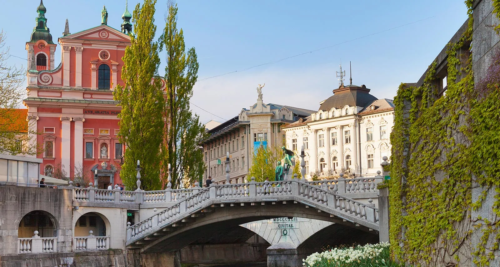 Top 10+ Dentists in Europe: Compare Prices & Read Reviews