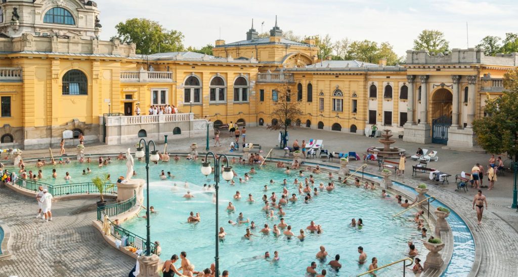 Dental Hungary